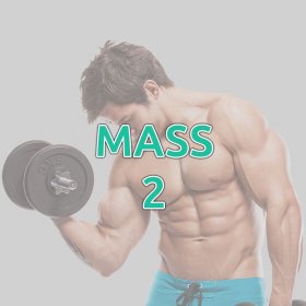 Mass 2